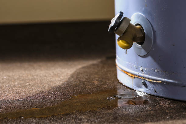 Best Flood restoration services  in Port Isabel, TX