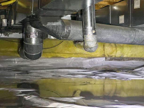 Best Professional water damage repair  in Port Isabel, TX