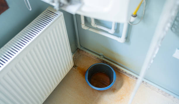 Best Fire Damage Restoration  in Port Isabel, TX