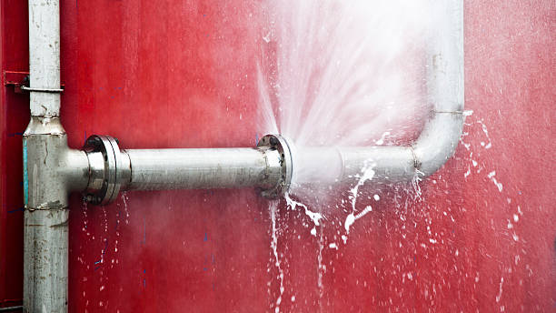 Best Flooded house restoration  in Port Isabel, TX