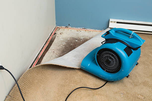 Best Ceiling water damage repair  in Port Isabel, TX